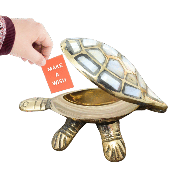 Wish Turtle - A Treasure Keeper